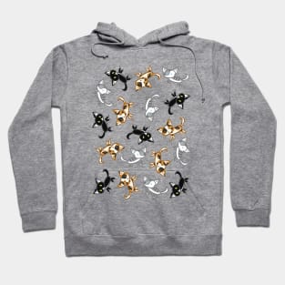 Cats! Hoodie